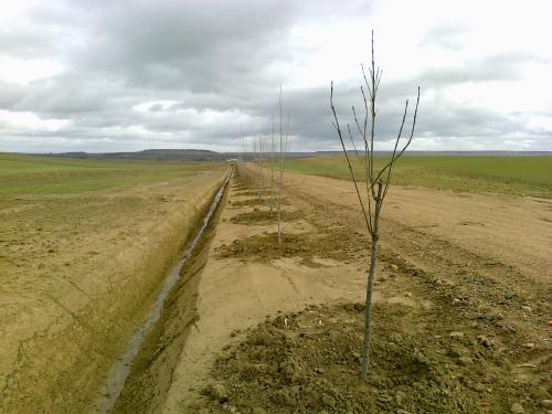 CAMINO DE SANTIAGO